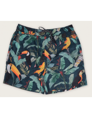 Men's Magical Forest Swimsuit