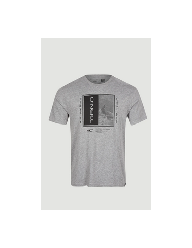 O'Neill Men's Short Sleeve T-Shirt Grey
