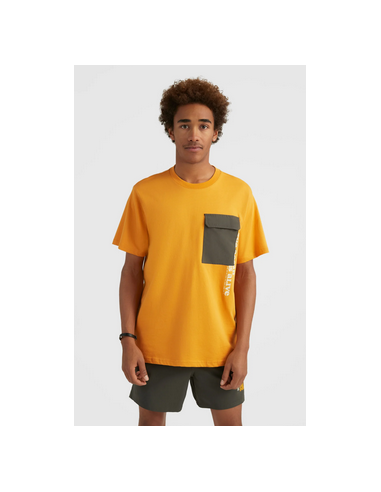 O'Neill Men's Short Sleeve T-Shirt...